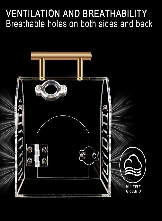 SORWATEE Jumping Spider Enclosure kit, Acrylic Tarantula Enclosure with Wooden Bridge, Mushroom, Pagoda Pond, Road Signs, Insect Terrarium with Handle and Magnetic Door, No Assembly Required (Medium) - Image 5